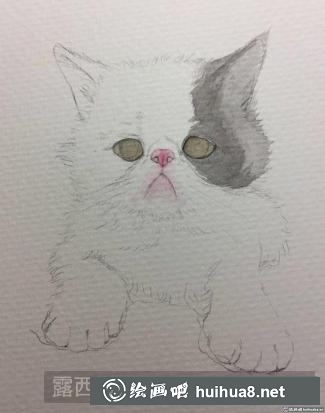 水彩畫小奶貓