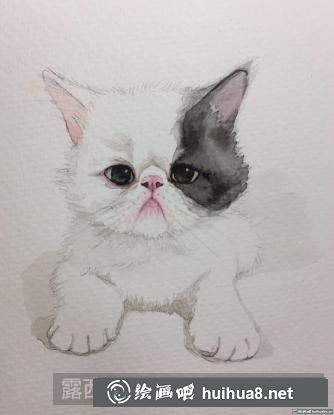 水彩畫小奶貓