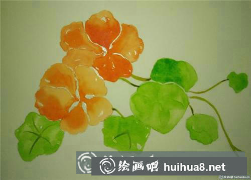 旱金蓮水彩畫(huà)