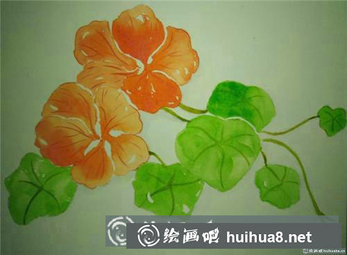 旱金蓮水彩畫(huà)