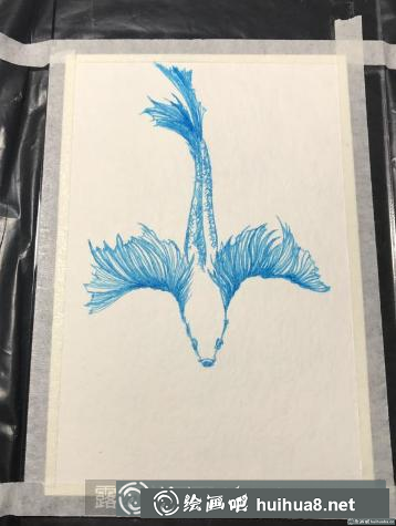鋼筆畫斗魚