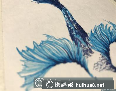 鋼筆畫斗魚