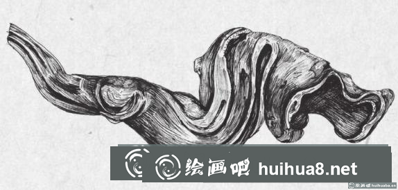 鋼筆畫枯樹根步驟