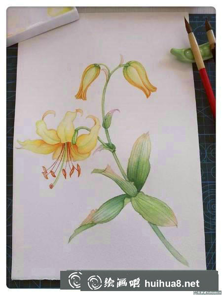 水彩畫(huà)教程