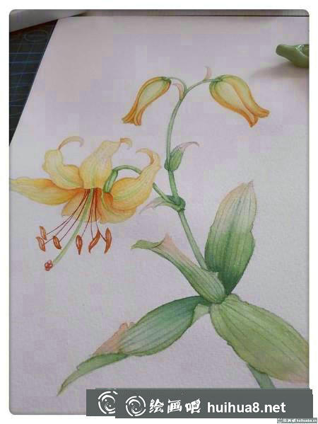 水彩畫(huà)教程