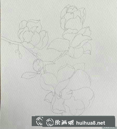 水彩畫教程