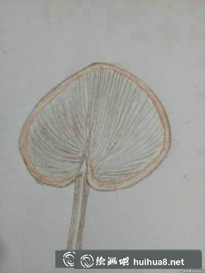 簡(jiǎn)筆畫教程
