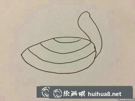 烏龜殼弧線繪制教程
