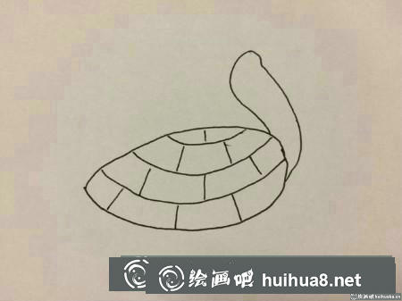 烏龜殼豎線繪制教程