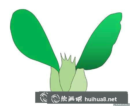 簡筆畫教程