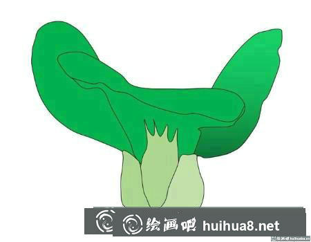 簡筆畫教程