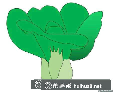 簡筆畫教程