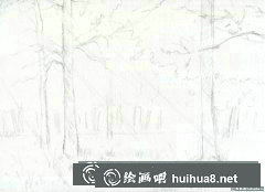 陽(yáng)光樹(shù)林繪畫(huà)技巧