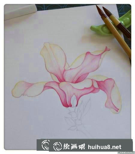 水彩畫教程