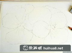 水彩畫教程三色堇繪制方法