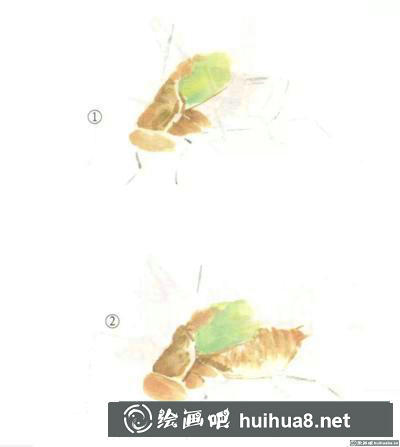 蟈蟈的畫法