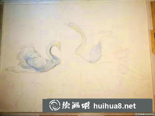 天鵝水彩畫