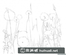 蒲公英彩鉛繪畫(huà)步驟解析