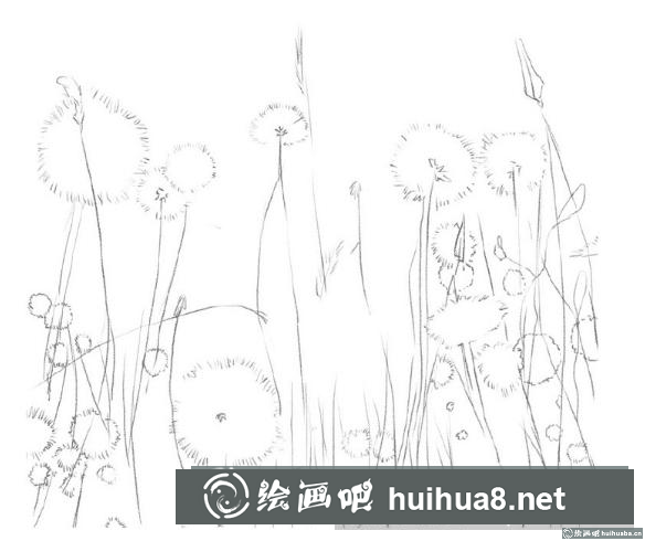 蒲公英彩鉛教程