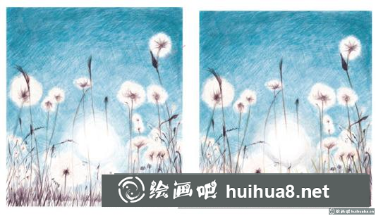 蒲公英彩鉛教程