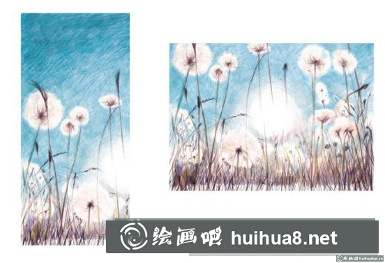 蒲公英彩鉛教程