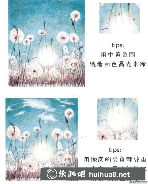 蒲公英彩鉛教程