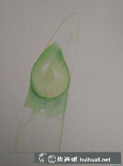彩鉛畫(huà)露珠