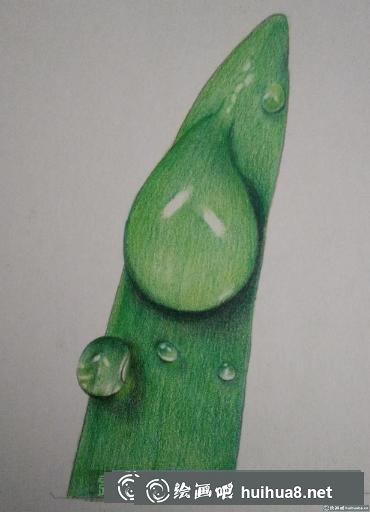 彩鉛畫(huà)露珠