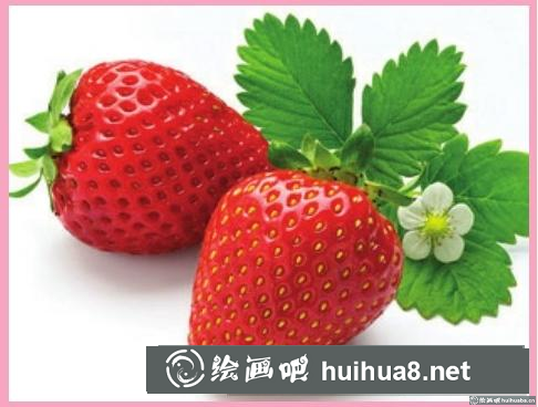 草莓