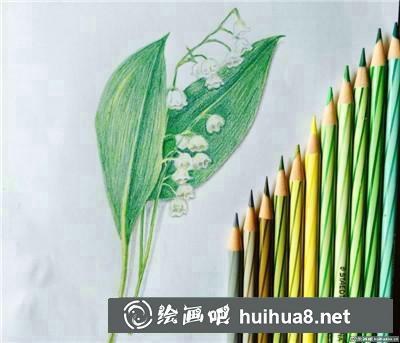 鈴蘭彩鉛