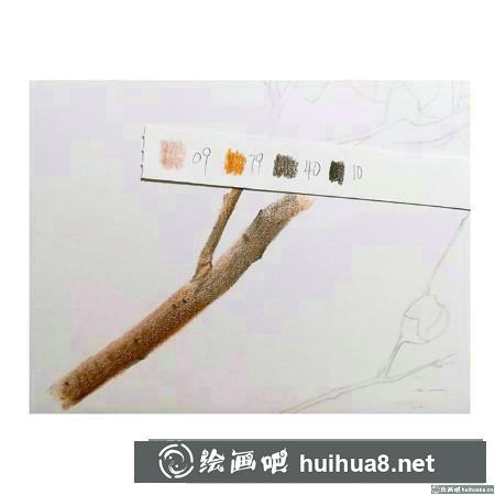 彩鉛畫教程