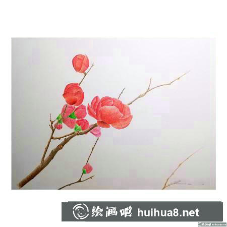 彩鉛畫教程