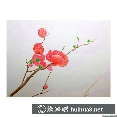 彩鉛畫教程