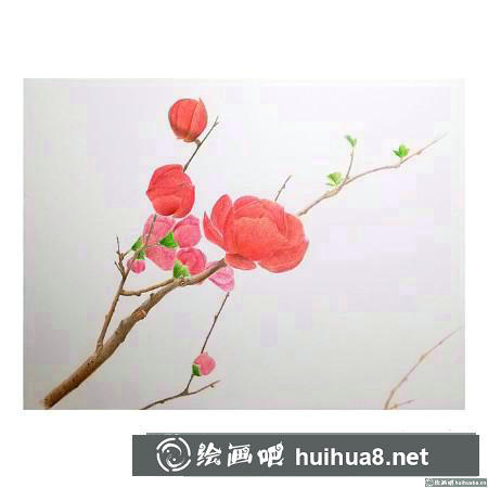 彩鉛畫教程