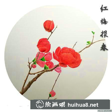 彩鉛畫教程