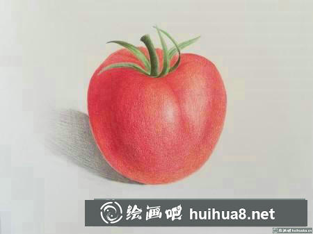 彩鉛畫教程