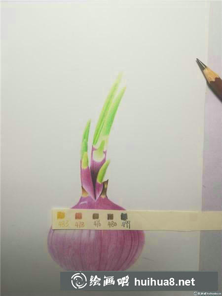 彩鉛畫教程