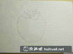 彩鉛繪霜柿子教程