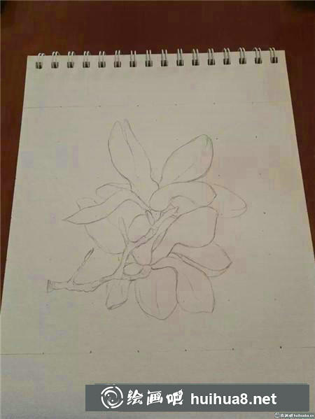 鋼筆畫教程