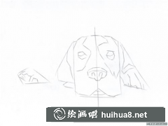 巴吉度犬彩鉛畫(huà)教學(xué)步驟