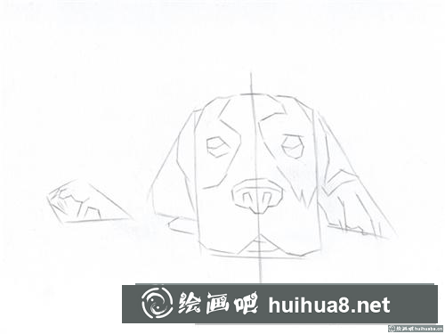 巴吉度犬彩鉛畫(huà)
