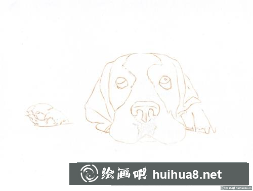 巴吉度犬彩鉛畫(huà)