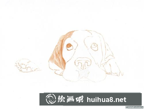 巴吉度犬彩鉛畫(huà)