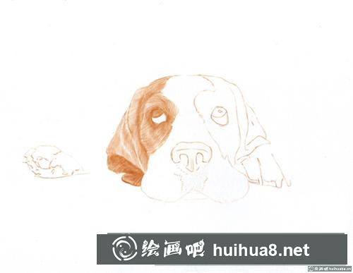 巴吉度犬彩鉛畫(huà)