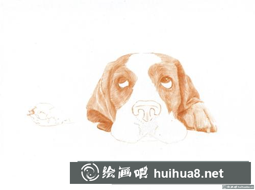 巴吉度犬彩鉛畫(huà)