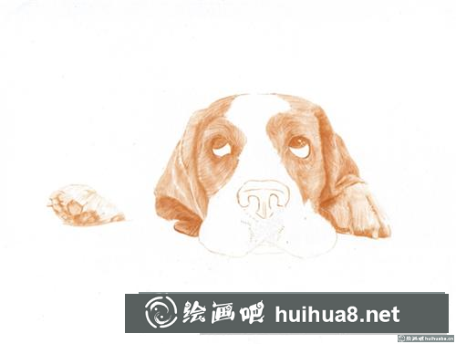 巴吉度犬彩鉛畫(huà)