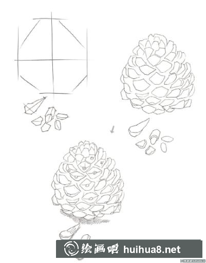 松果彩鉛畫 松果彩鉛畫