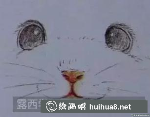 彩鉛畫龍貓