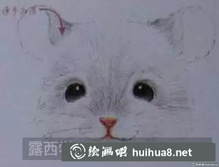 彩鉛畫龍貓