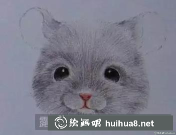 彩鉛畫龍貓
